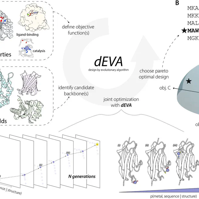 Zero-shot design of a de novo metalloenzyme