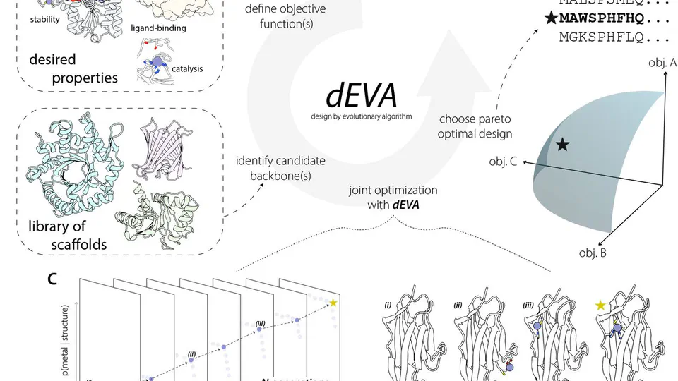 Zero-shot design of a de novo metalloenzyme